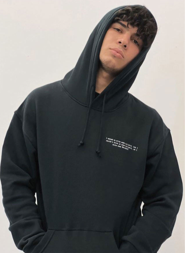 THE BULLSHIT HOODIE